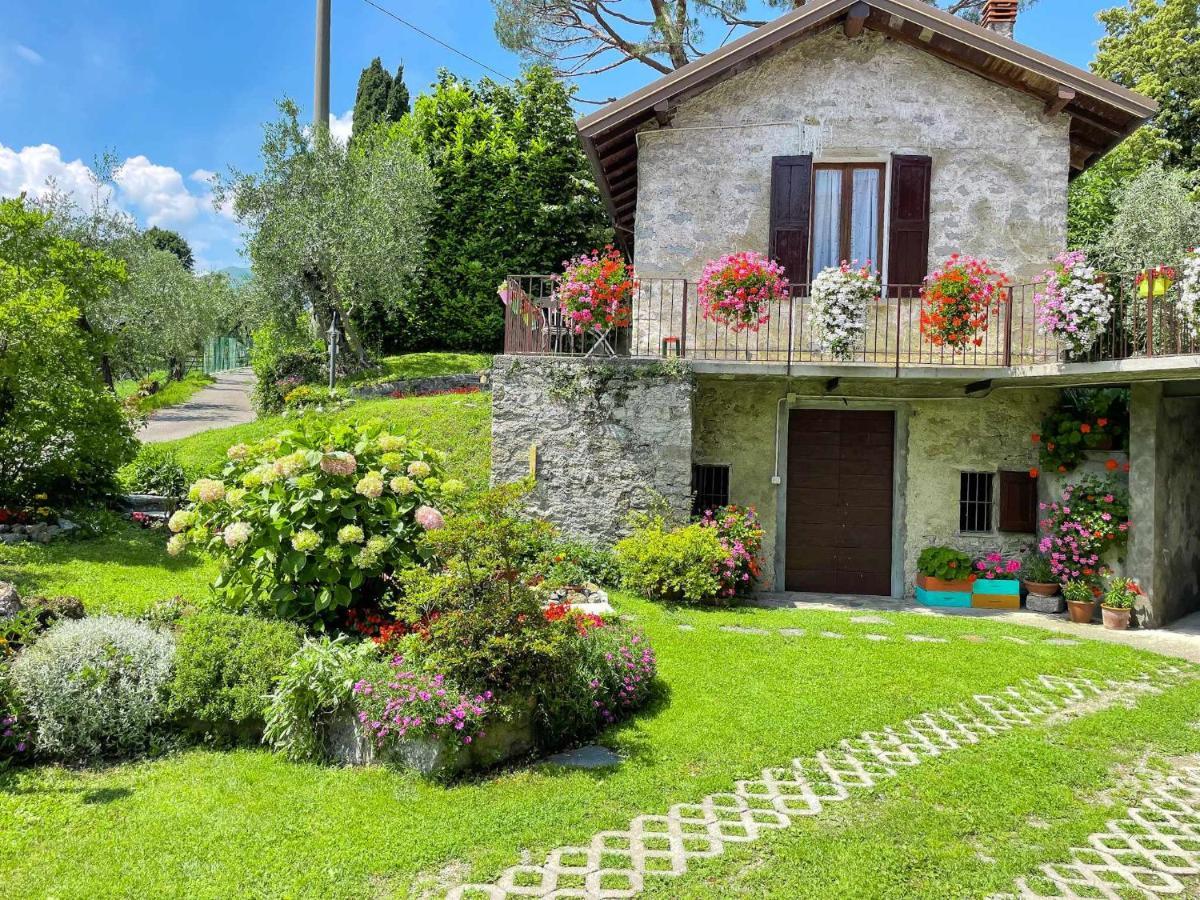 Breva Loft Tra Gli Ulivi Ed Il Lago Белладжо Экстерьер фото
