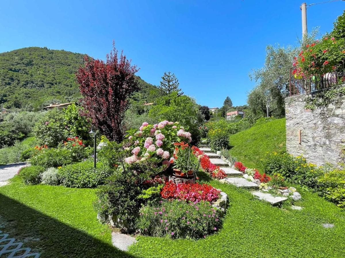 Breva Loft Tra Gli Ulivi Ed Il Lago Белладжо Экстерьер фото